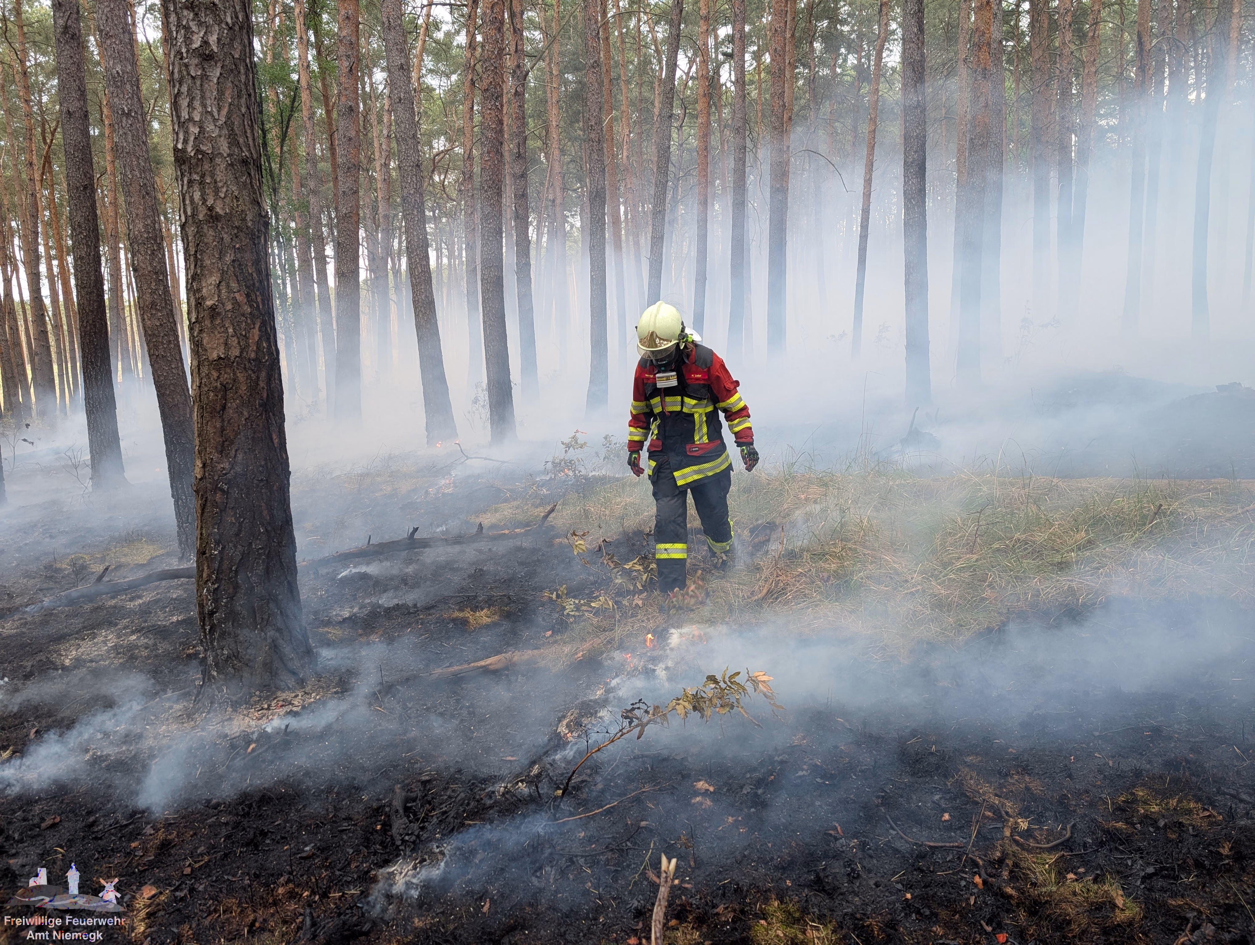15.05.2025 – Brand Wald – Niemegk, OV B102 Haseloff