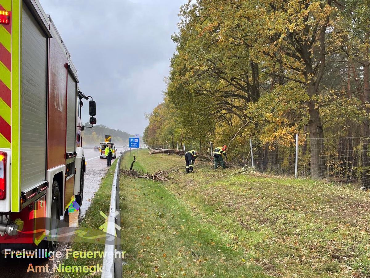 26.10.2025 – Hilfeleistung Natur – BAB9 AS Niemegk – AS Klein Marzehns